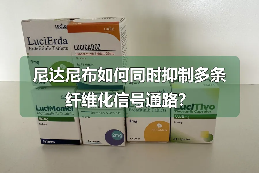 尼达尼布如何同时抑制多条纤维化信号通路？