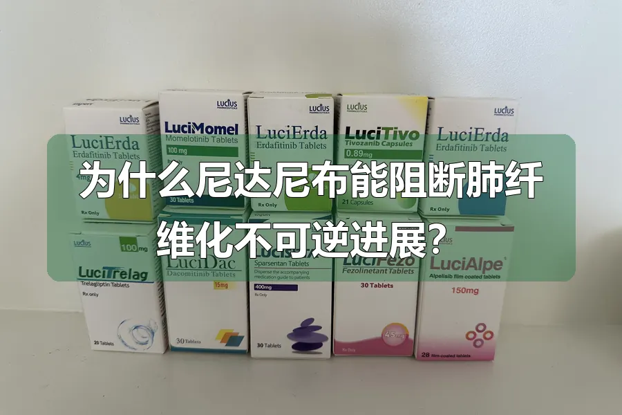 为什么尼达尼布能阻断肺纤维化不可逆进展？